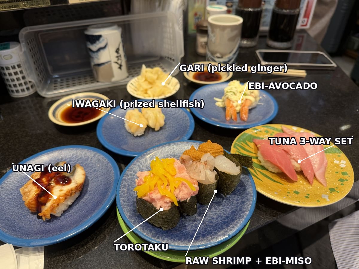 Labeled kaiten sushi plates at Oedo Tokyo: unagi, iwagaki, ebi-avocado, torotaku, raw shrimp with ebi-miso, tuna three-way set and gari