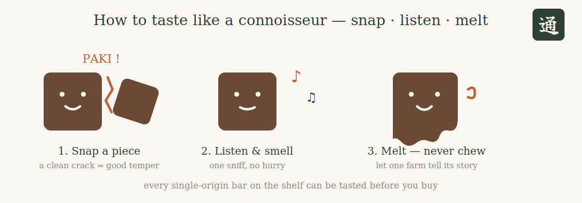 Cute illustration of how to taste craft chocolate in three steps: snap a piece, listen and smell, melt without chewing