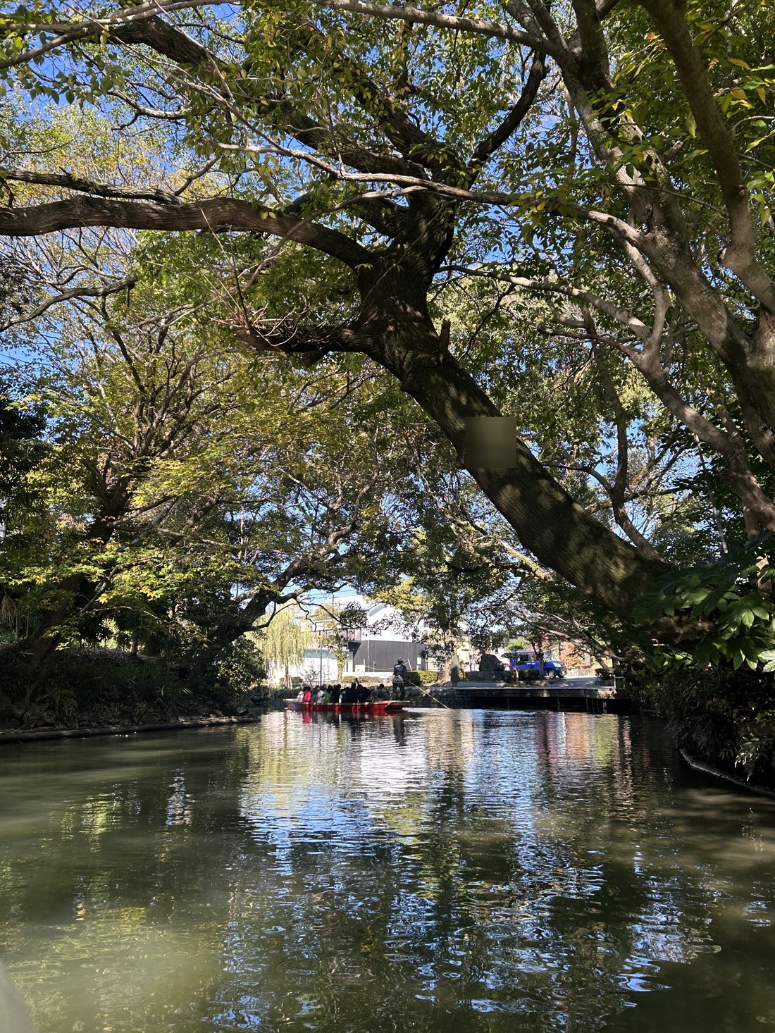 A punting boat gliding under trees on a Yanagawa canal