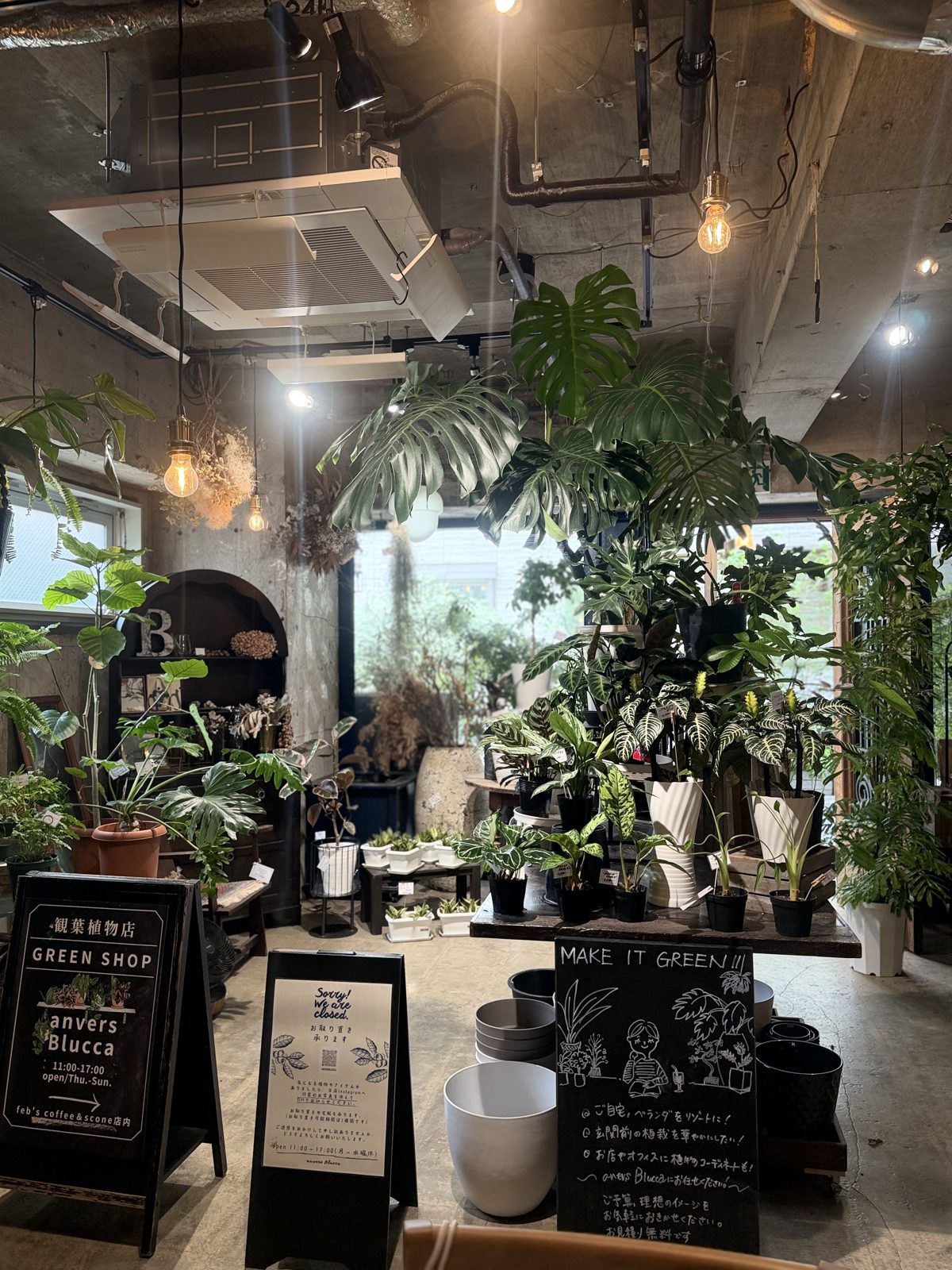 Interior of Blucca in Kuramae, a plant shop with hanging monstera and a chalkboard reading Green Shop